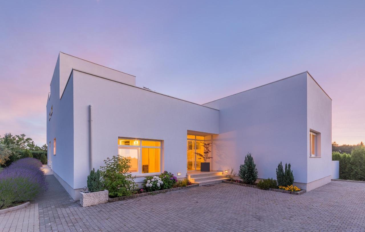 Villa Kate Istria Žminj Exterior foto